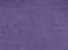Variation picture for HEATHER PURPLE